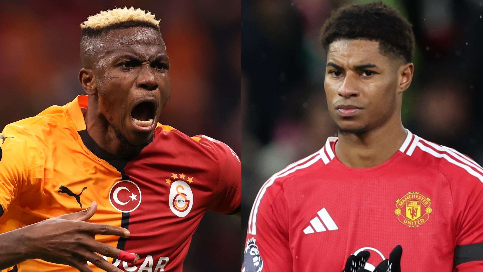 往兼具两种 往兼具两种